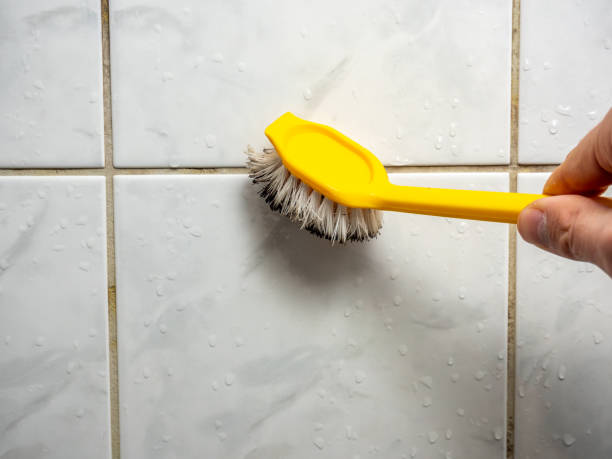 Best Localized Mold Remediation (e.g., coastal areas, humid climates) in West Wareham, MA